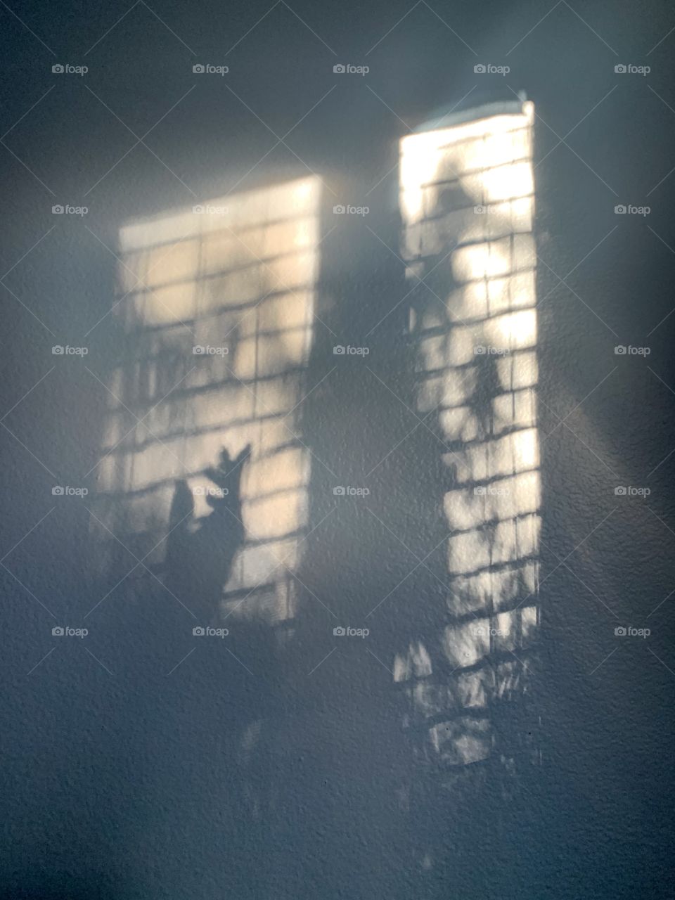 morning window shadow 