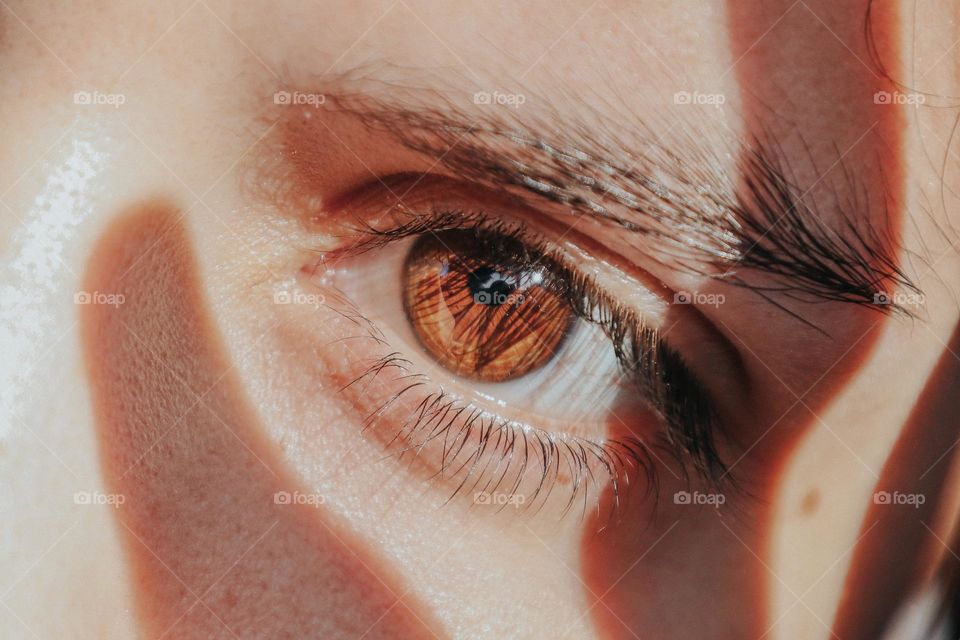 Close-up of human eye