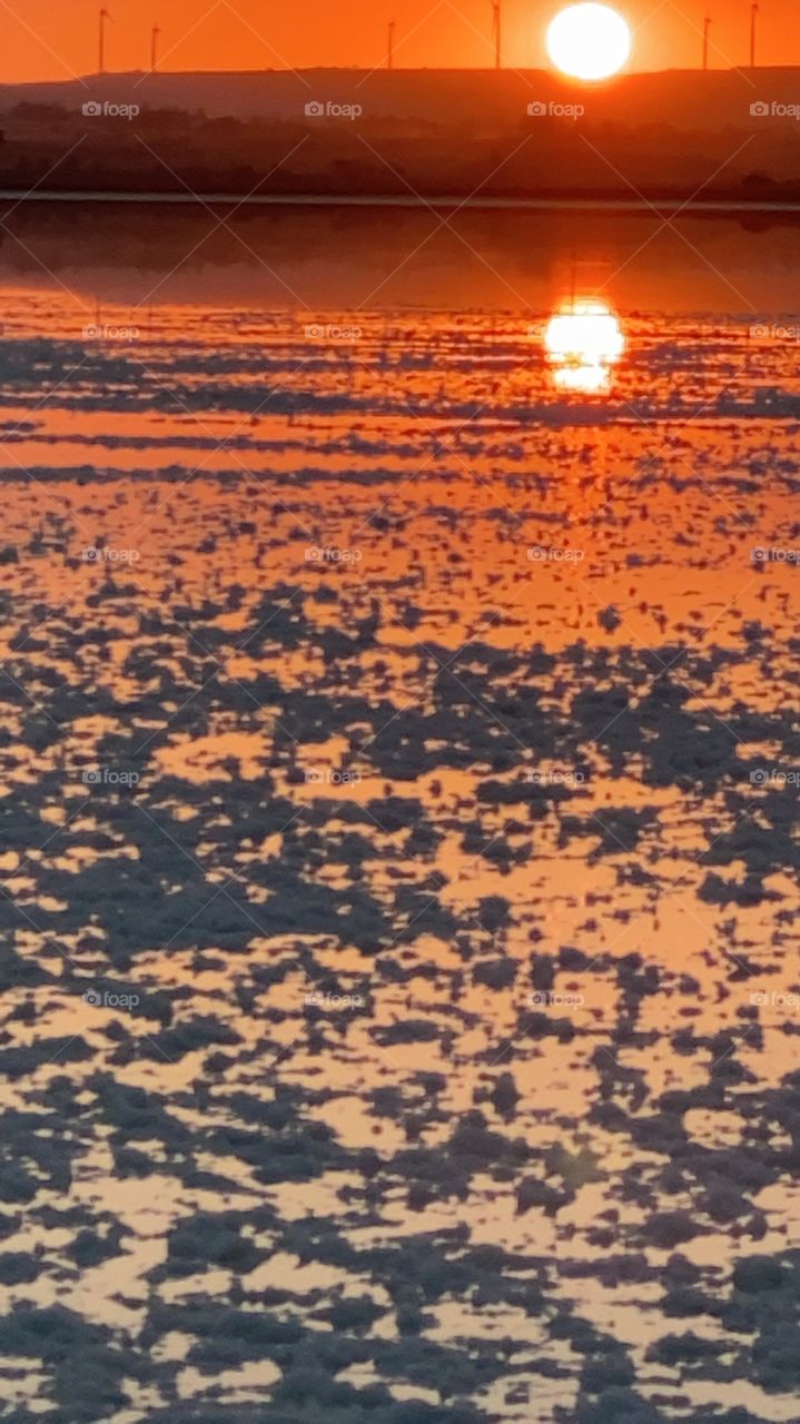 Salt Lake Larnaca Cyprus 27 October 2020