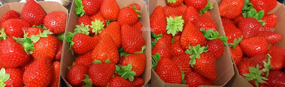 Cajas de fresas ecológicas de Huelva