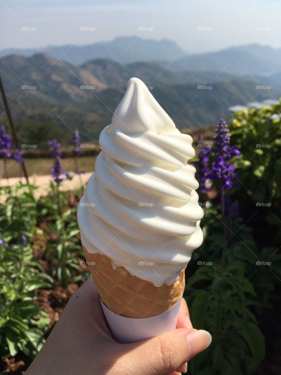 Ice-cream 