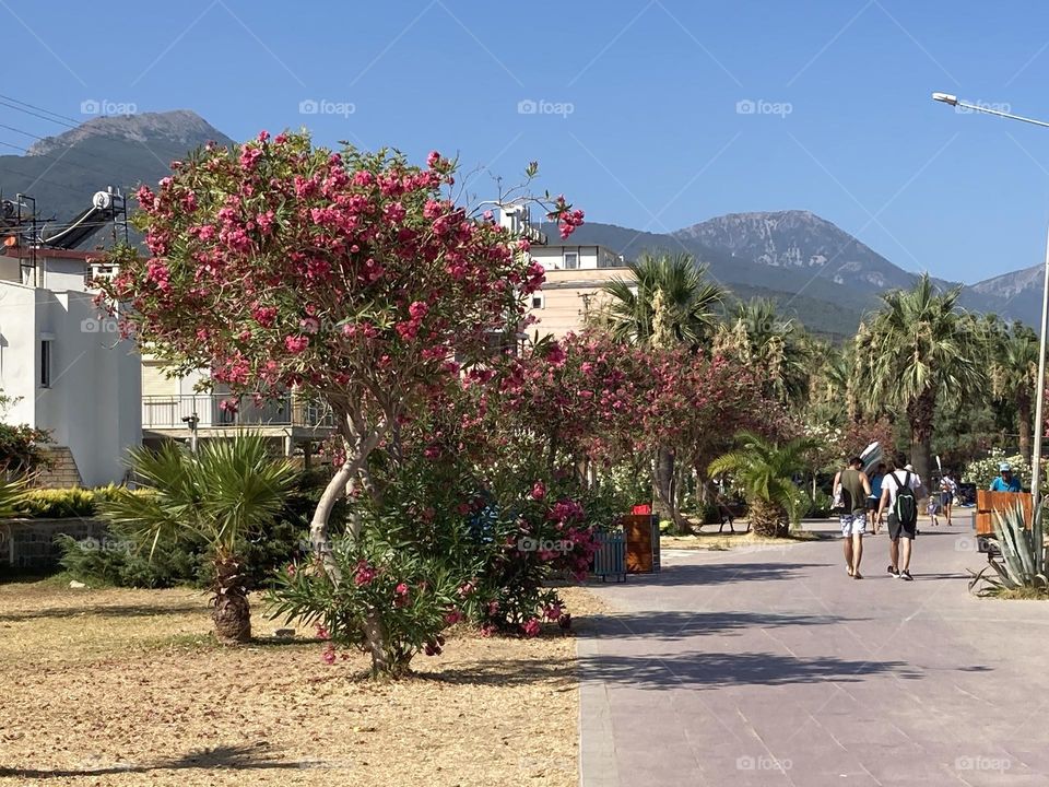 Sunny holidays I’m Turkey. Walk in the cute city and charming streets by the beach in Kusadasi. perfect blue sky and ocean view. Beach and the shore. To travel is to live. 
