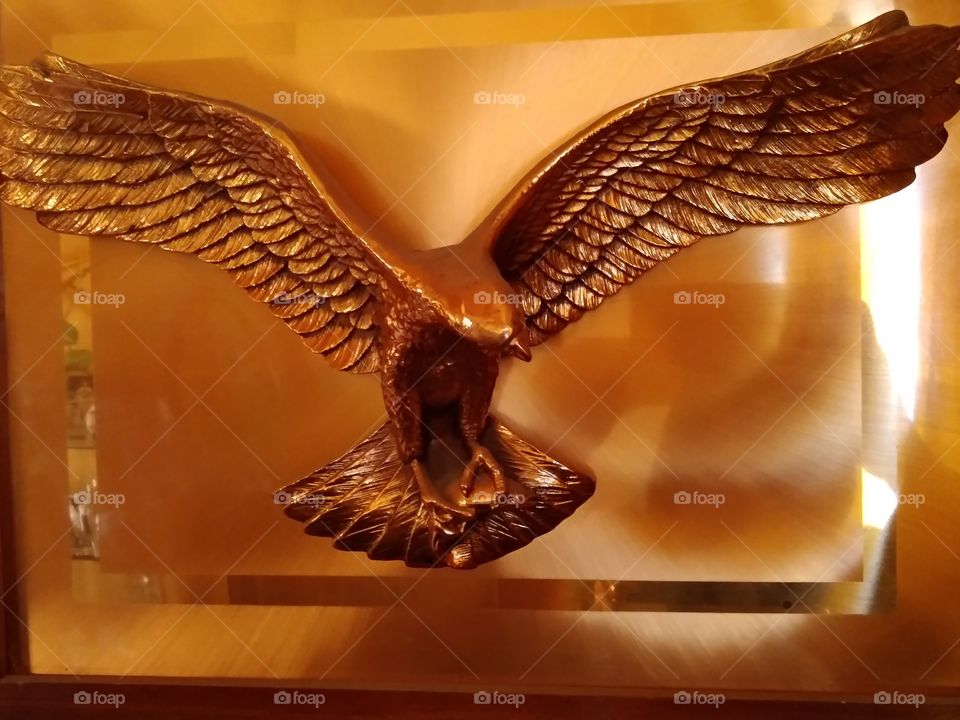 Flying Eagle