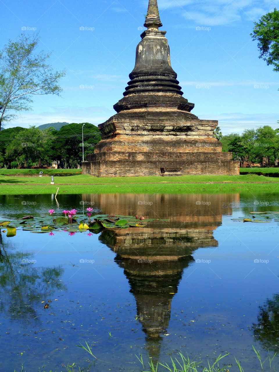 laotiano temple and reflection into the water with flowers