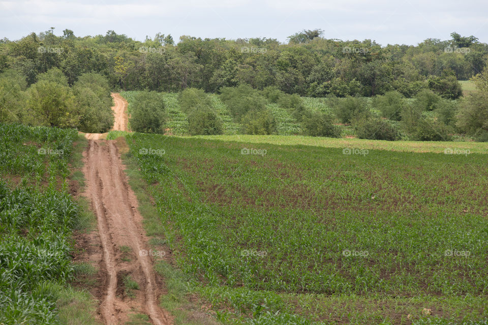 Agricultural farm