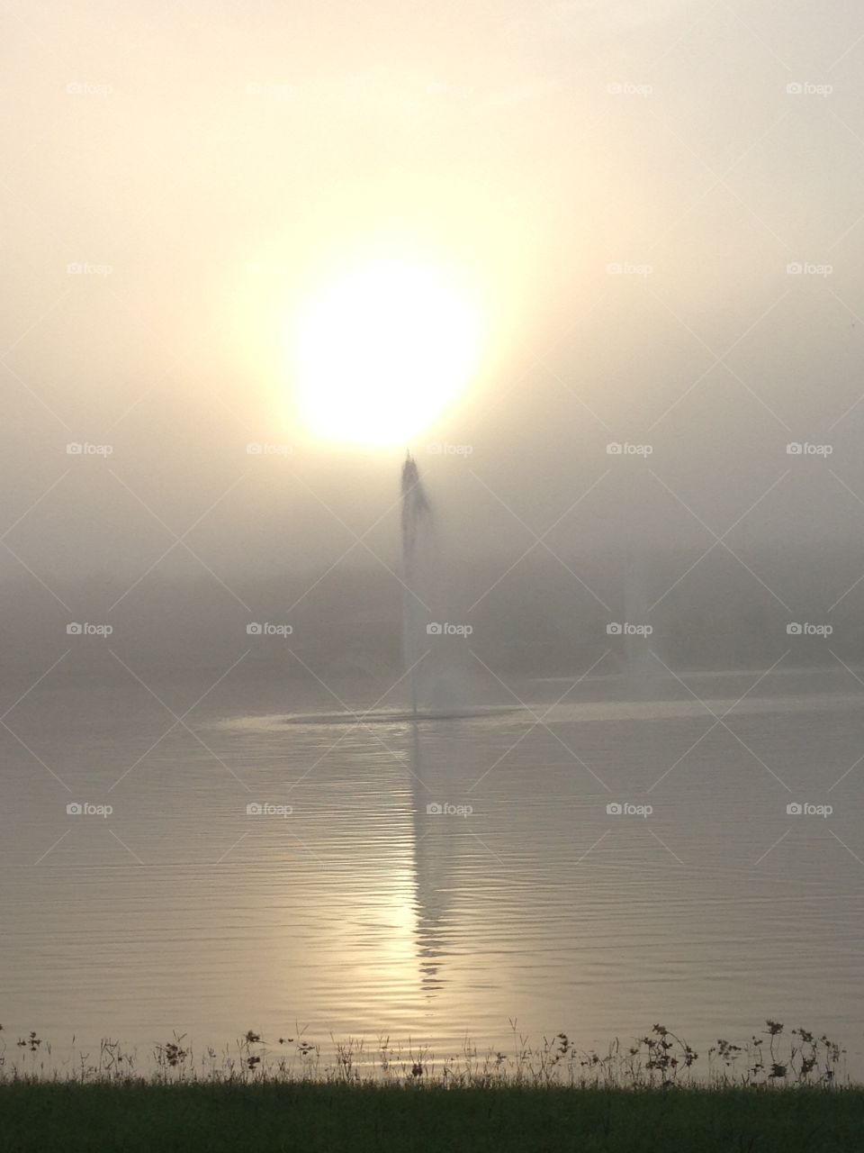 Foggy morning. . Sunrise and fountains on a foggy day at the pond. 
