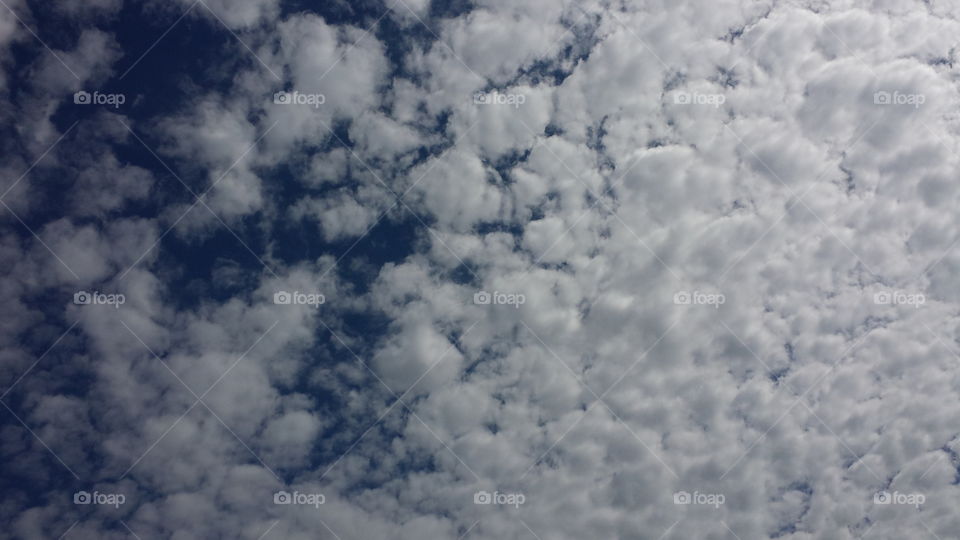 Abstract, Downy, Desktop, Nature, Weather