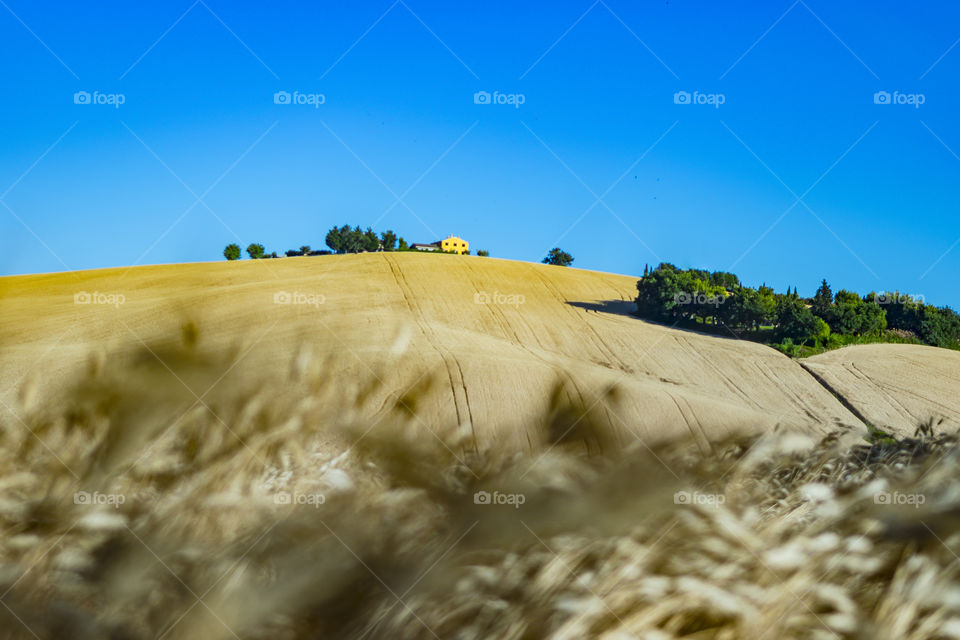 Tuscany & Marche