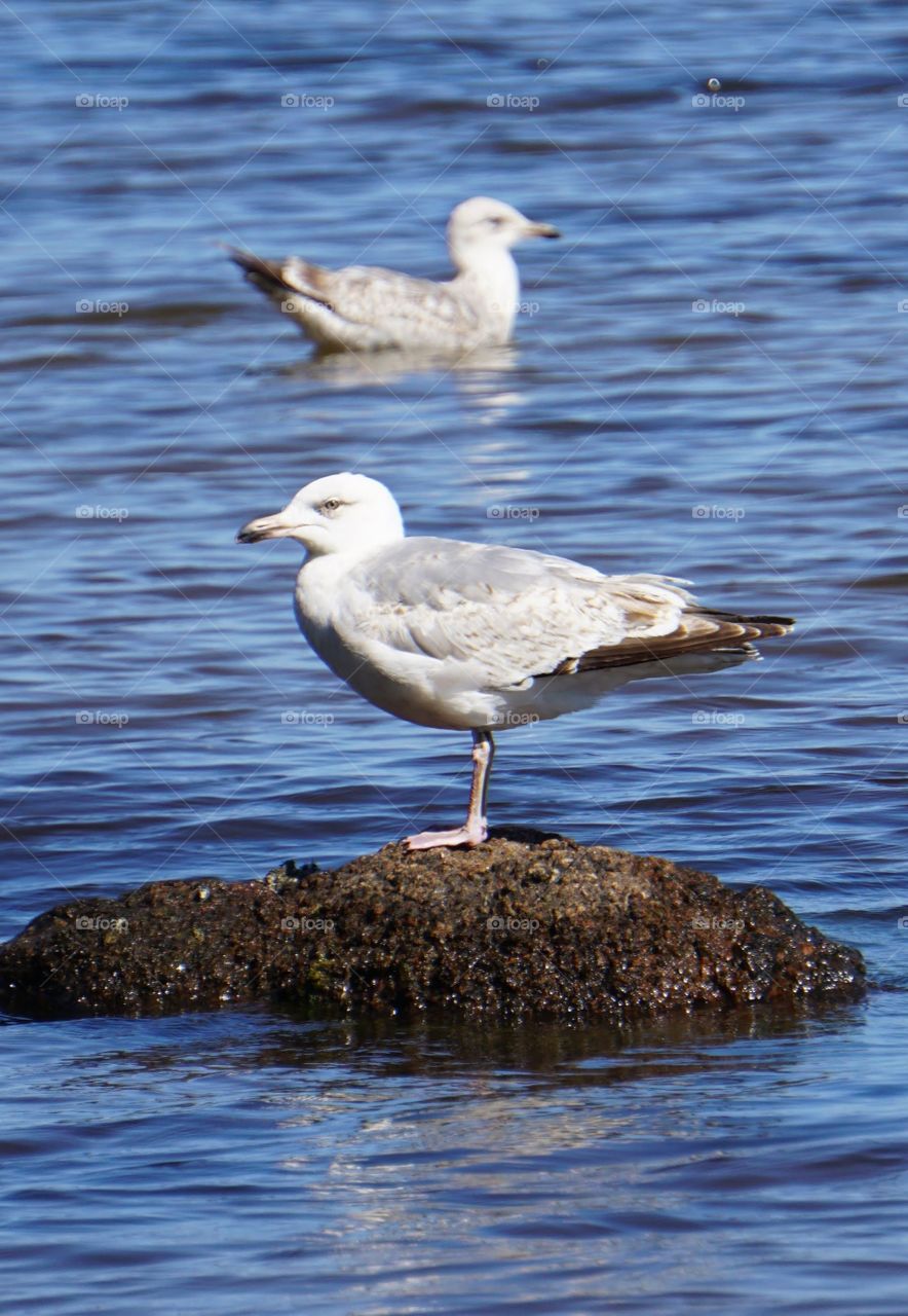 Nur keine nassen Füße kriegen.