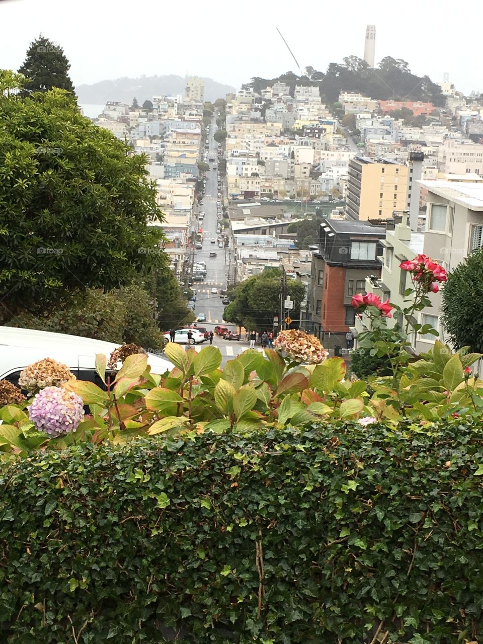 Top of Lombard Street