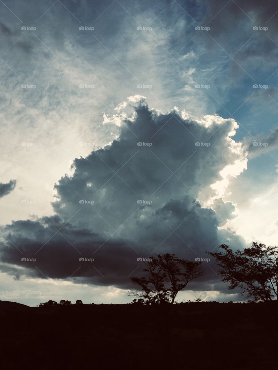 O #entardecer tão bonito na #Fazenda Ermida.
📸
#FOTOGRAFIAéNOSSOhobby
#paisagem #natureza #photo