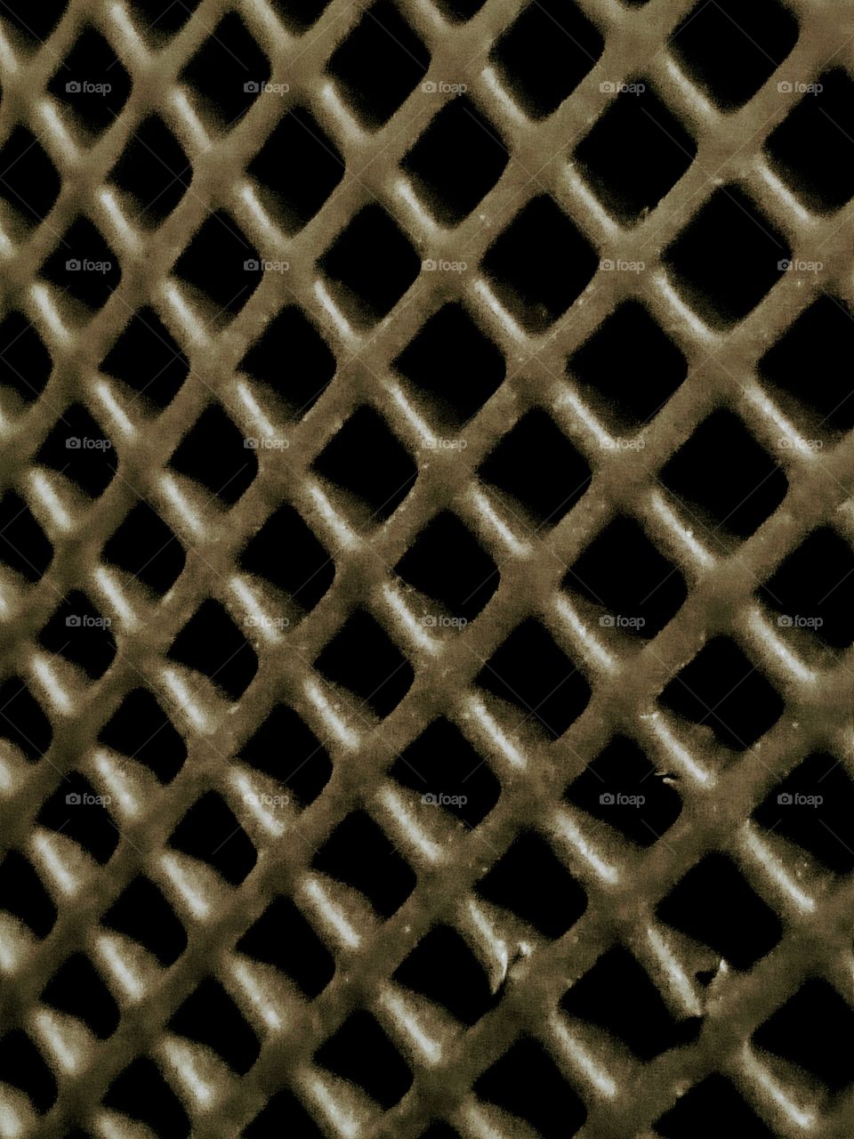 Plastic net