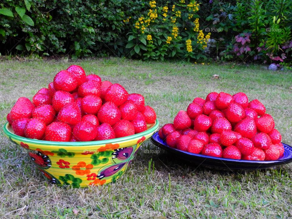 Strawberries