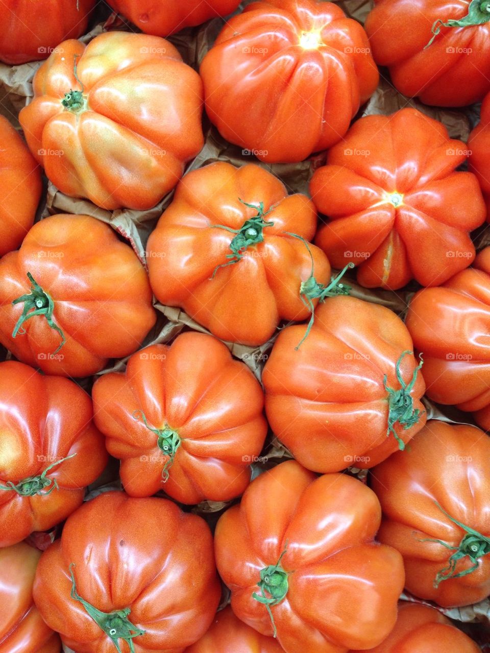 High angle view of tomatoes