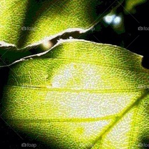 green summer by smartini65