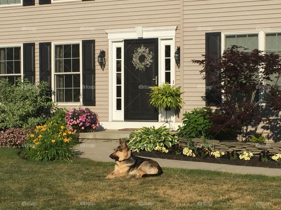 It may look like he's resting, but he is on duty protecting and serving.  