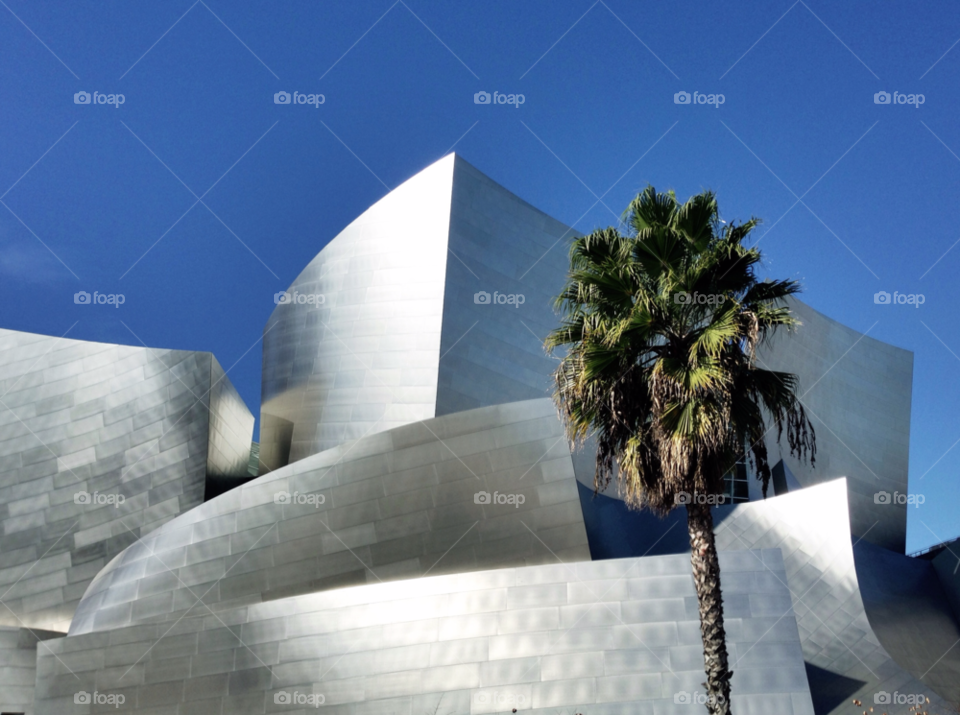 architecture los angeles frank gehry disney concert hall by p51