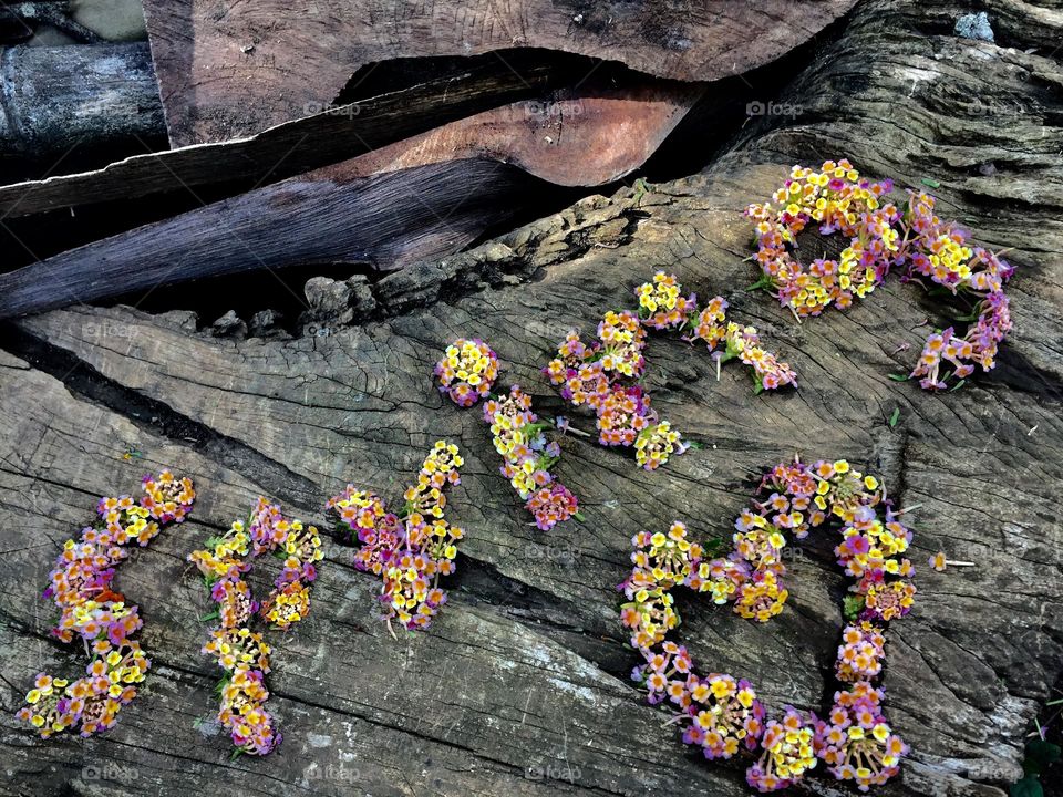 Flowers forming to spring words