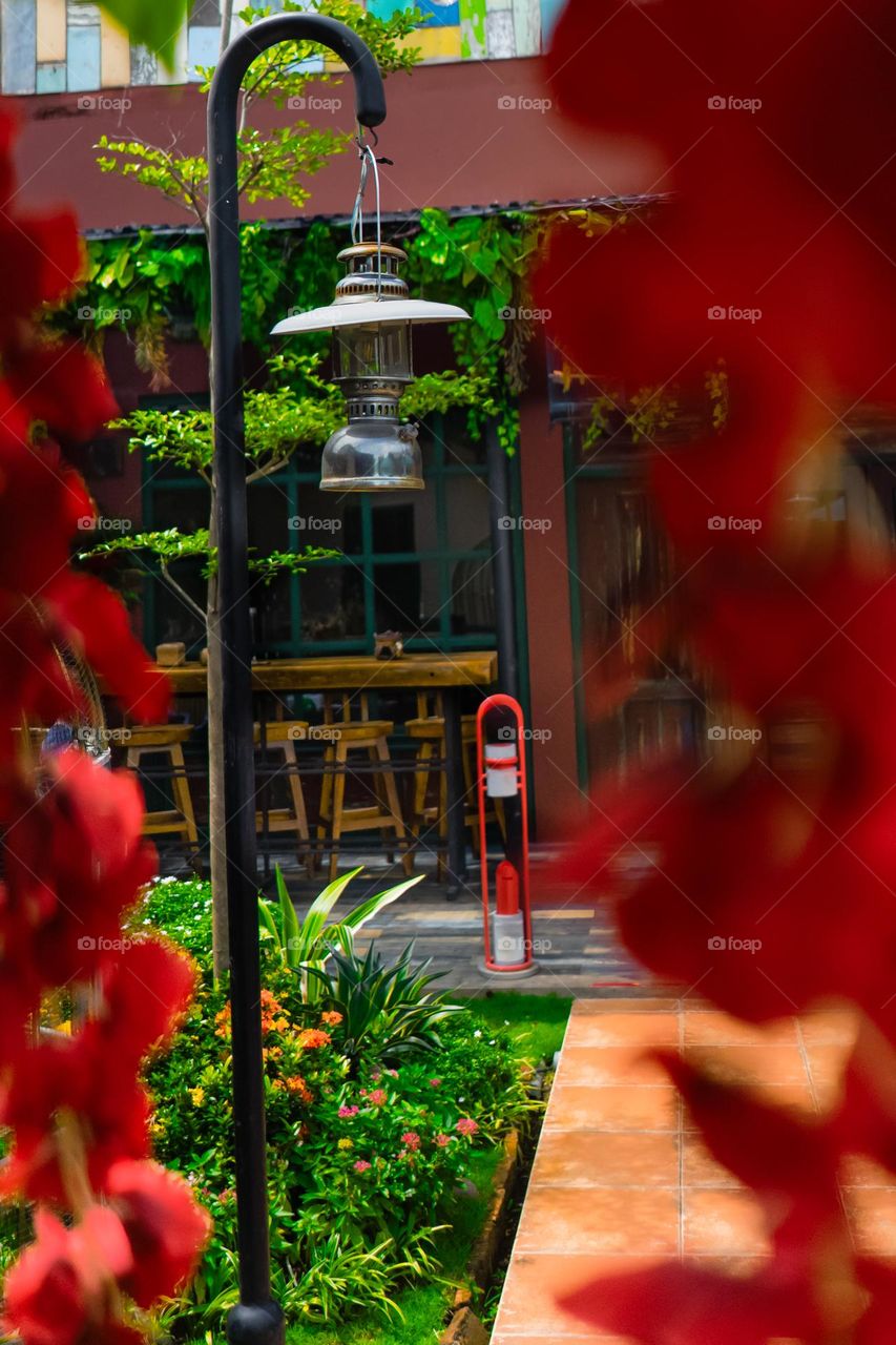 A Charming outdoor setting