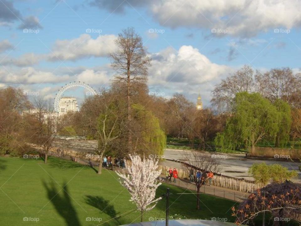 London view from Green Park