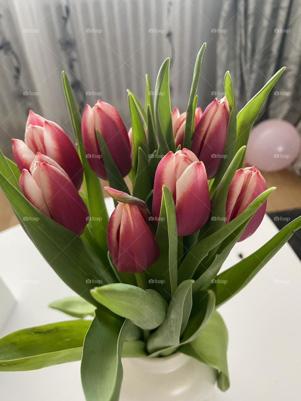 So beautiful tulips 🌷