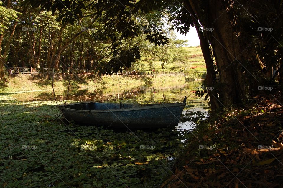 Boat on a pond