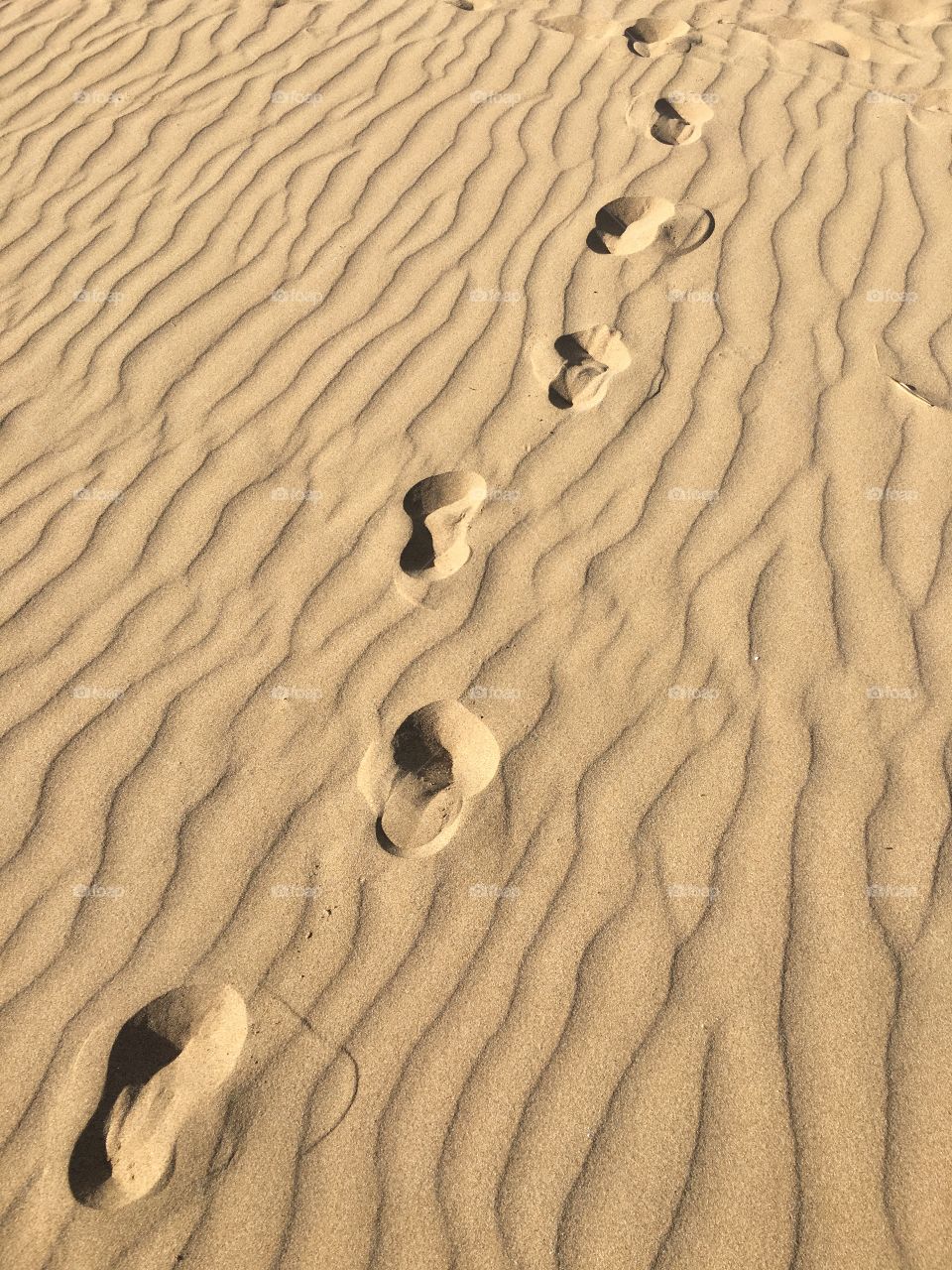 Footprints on wind-rippled sand 