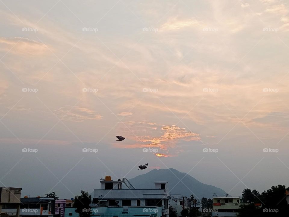 ravarma,  Go to rest house  Bard's & sun