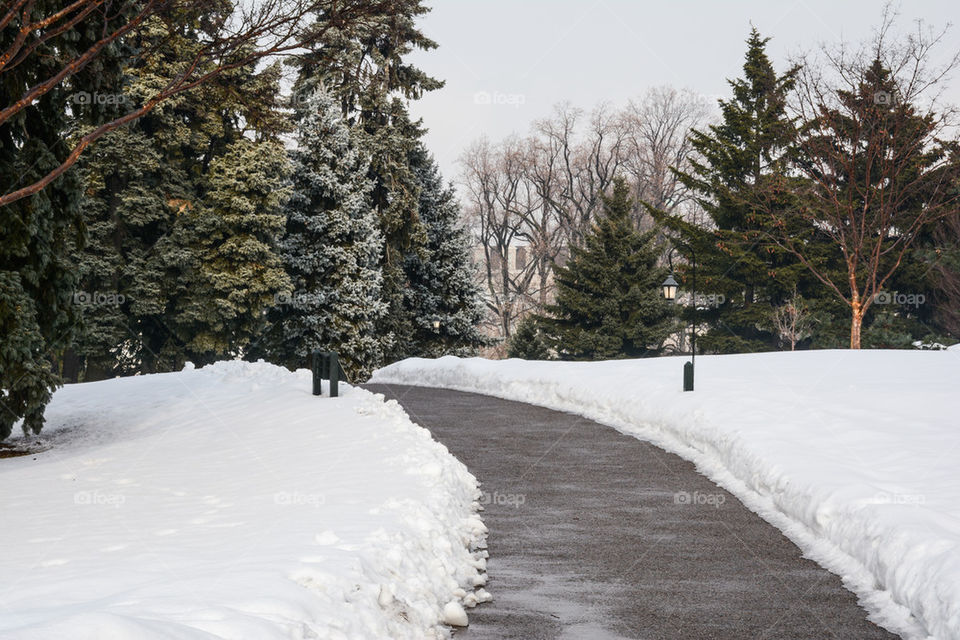 path in the snow