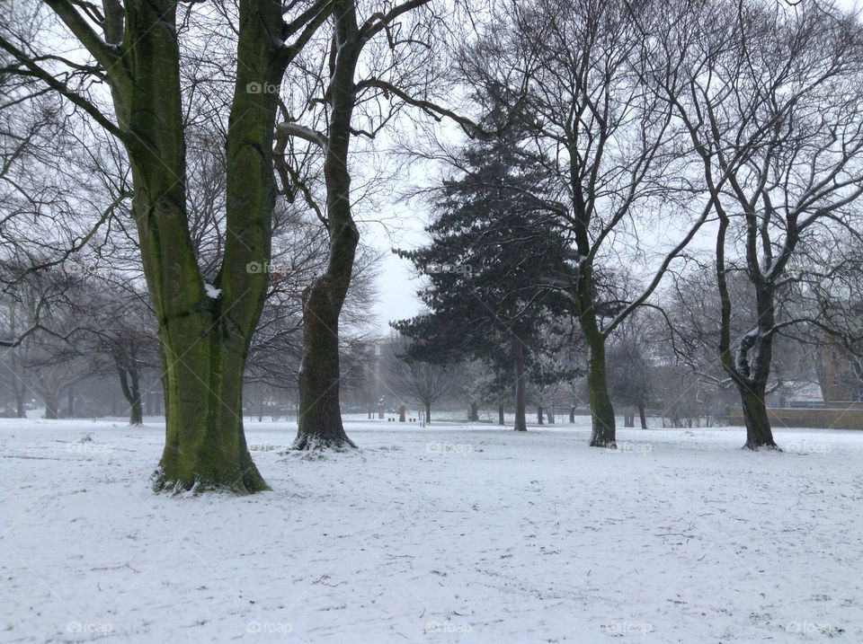 Snow covered actin park in London