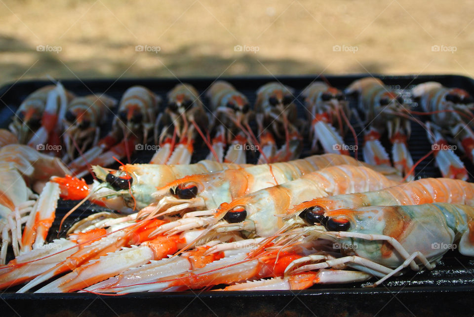 beach white food orange by munda.net