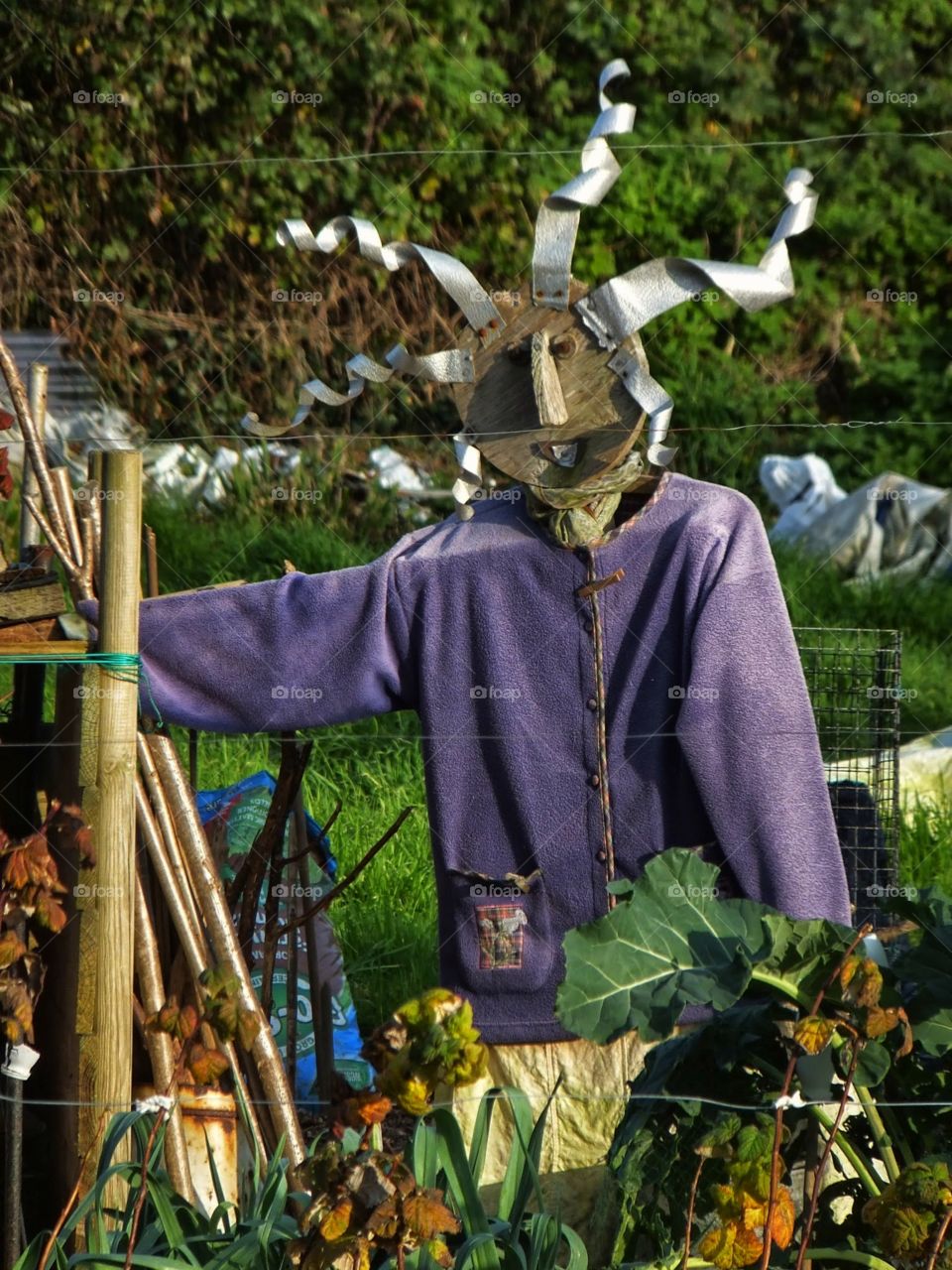 Scarecrow . A Scarecrow in Dorset 