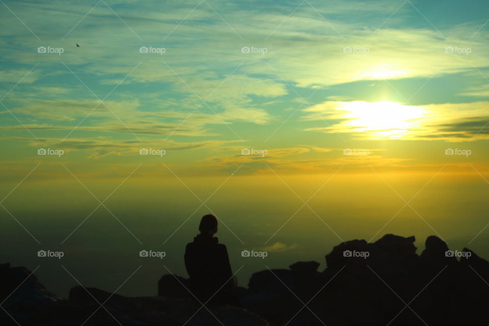 back woman silhouette. looking valley from edge at sunset