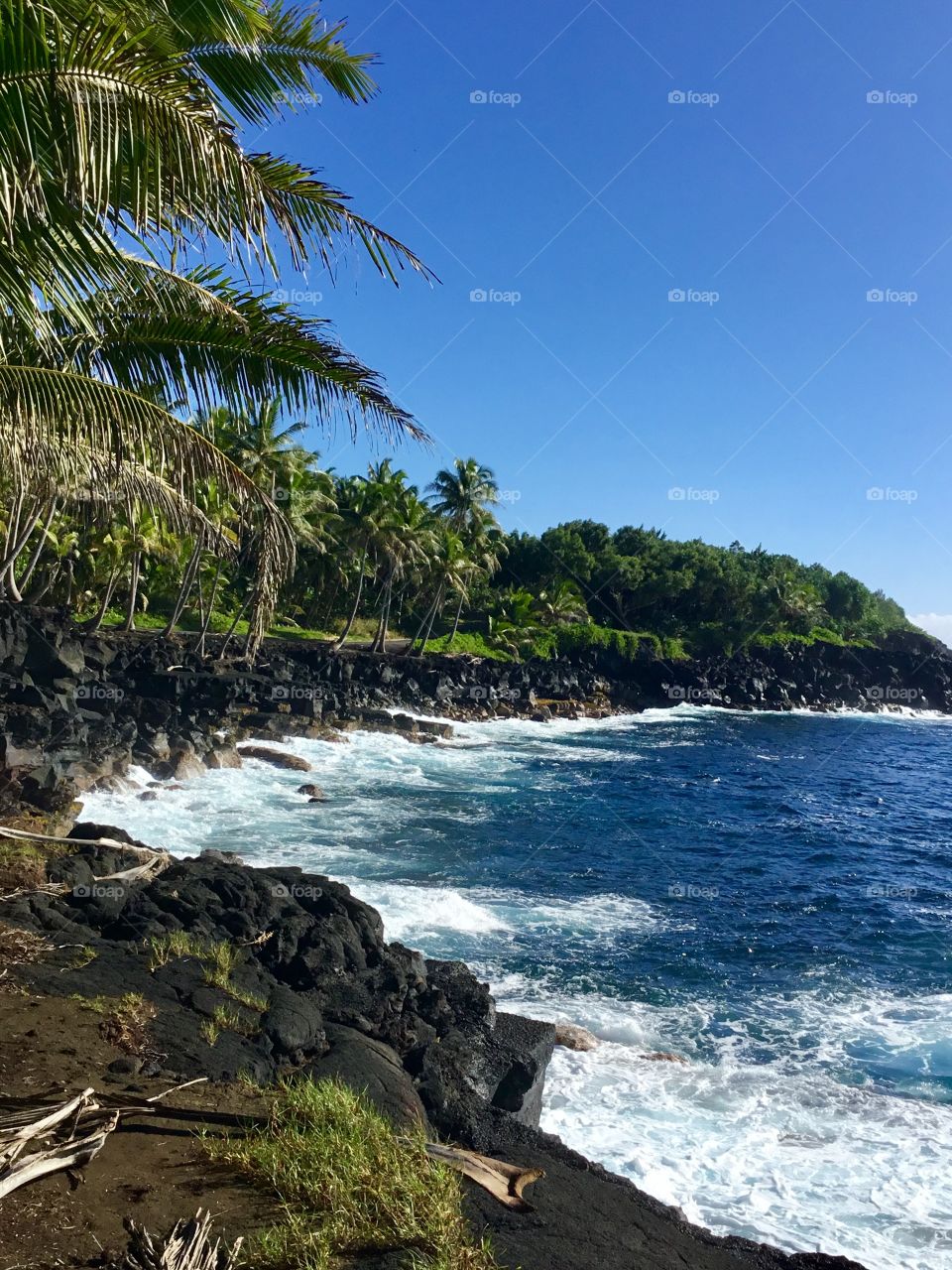 Sunny blue day on the ocean