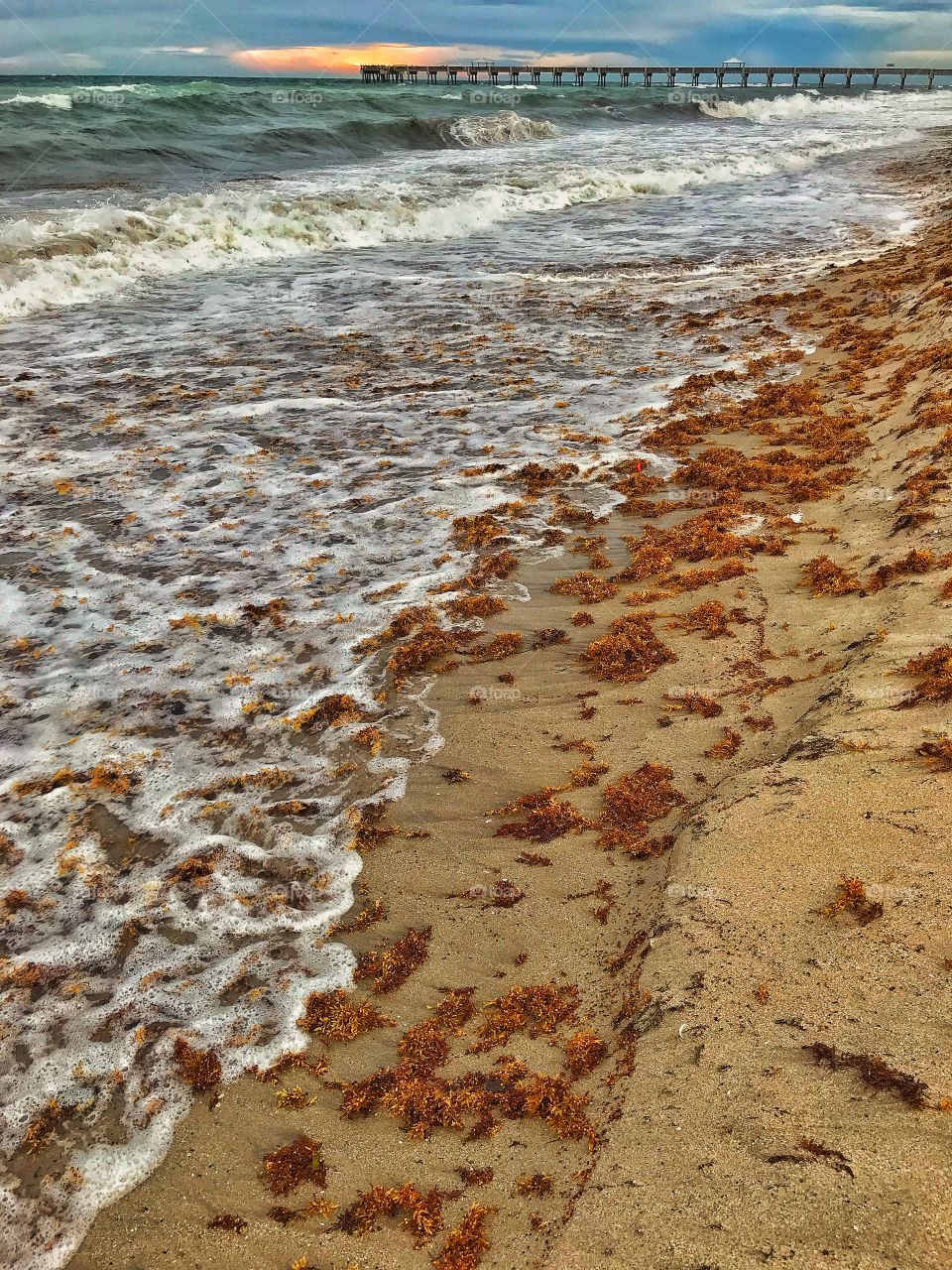 Juno beach pier