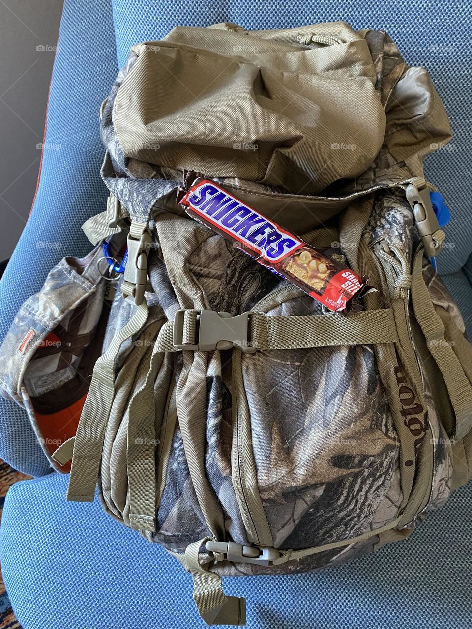 Are you ready for an adventure 