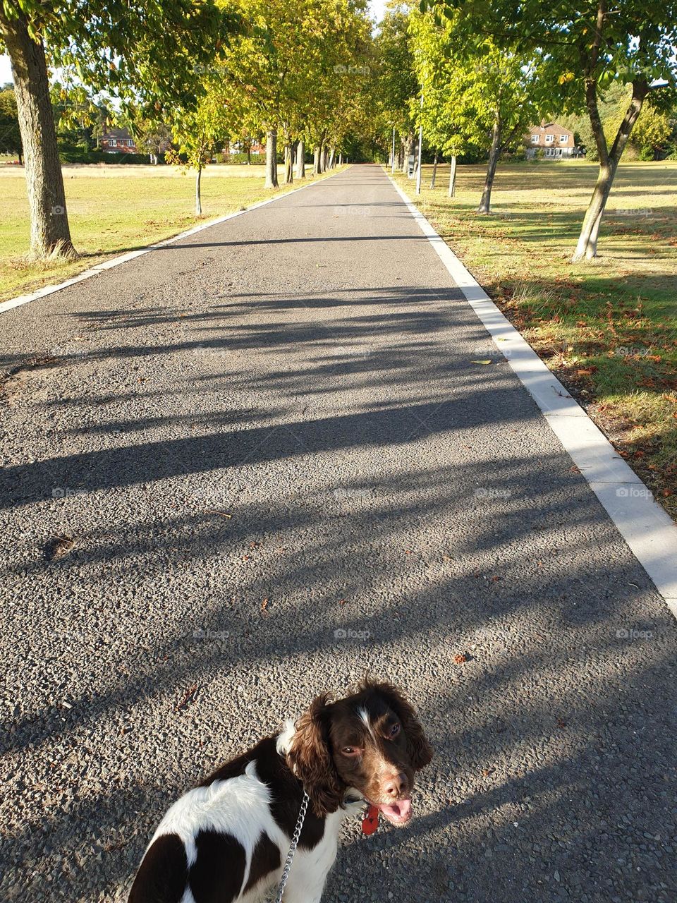 walking on the open road