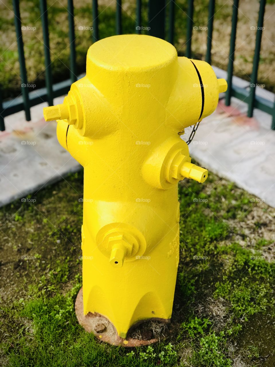 A yellow Fire hydrant in front of the school for in case of a fire emergency in the vicinity. 