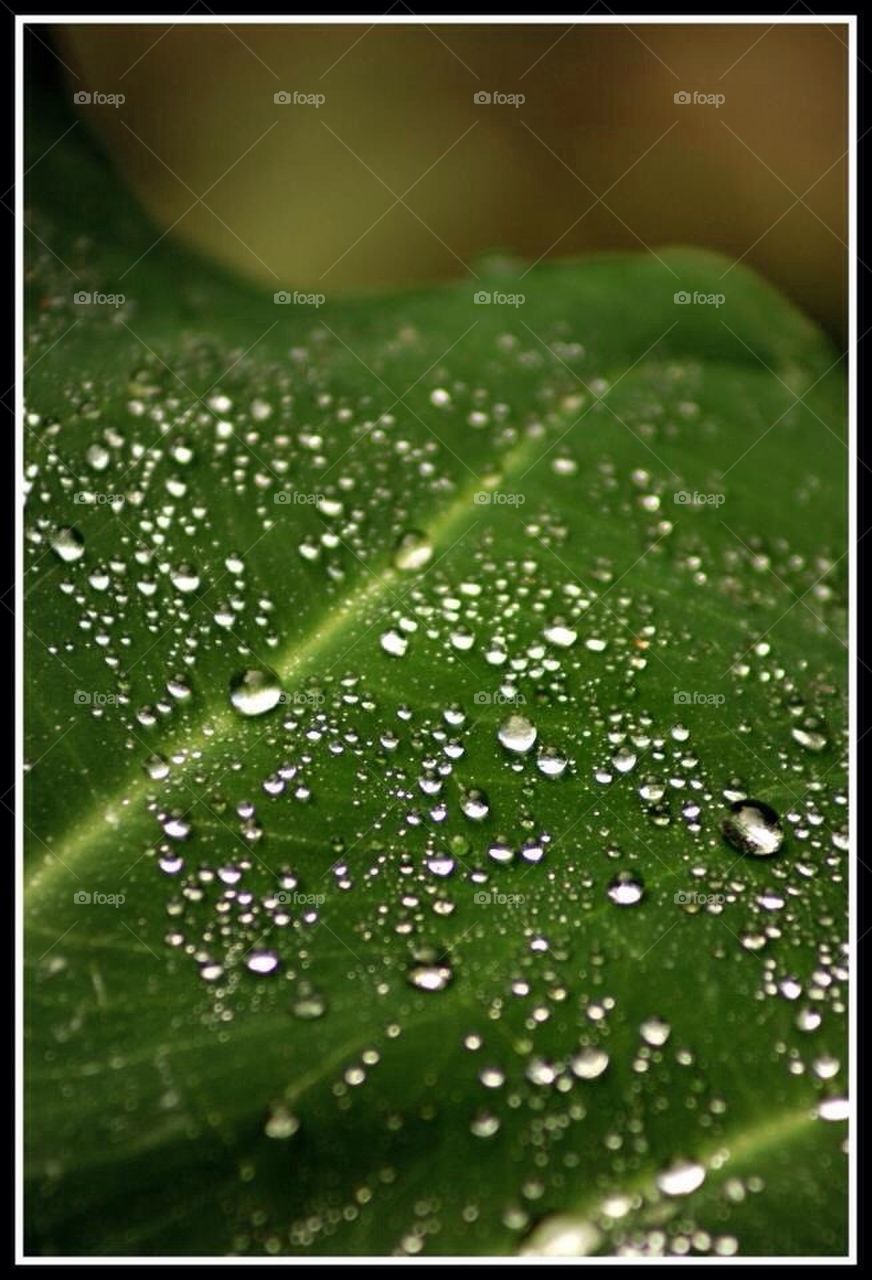 Water drops