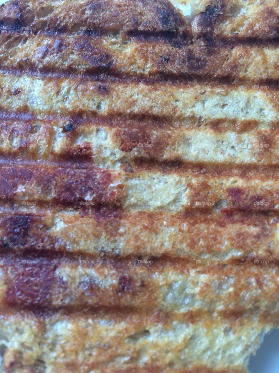 Panini toasted grilled sandwich 