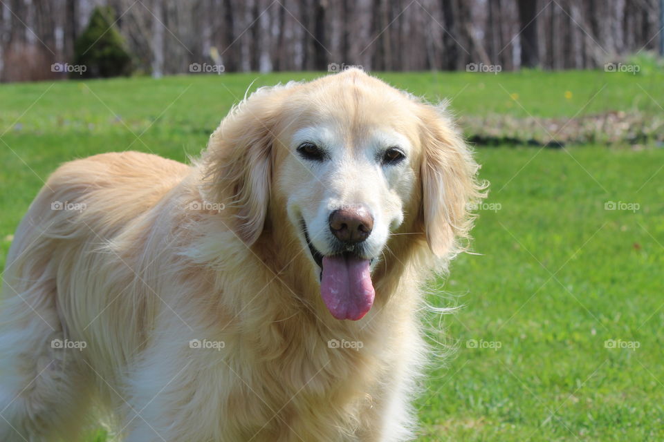 smile and the world smiles with you