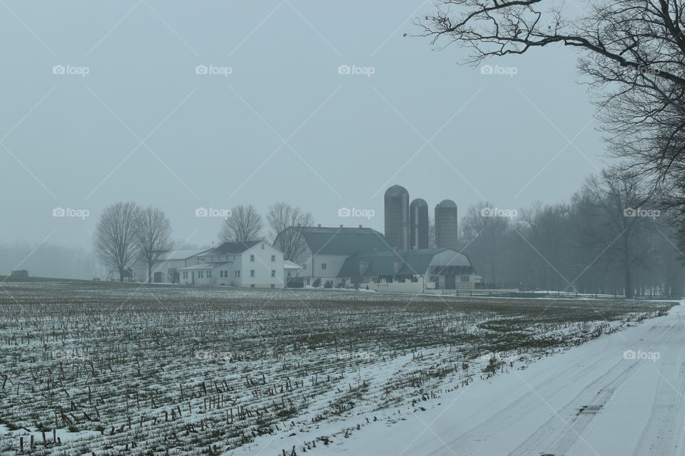 Foggy Amish Farm