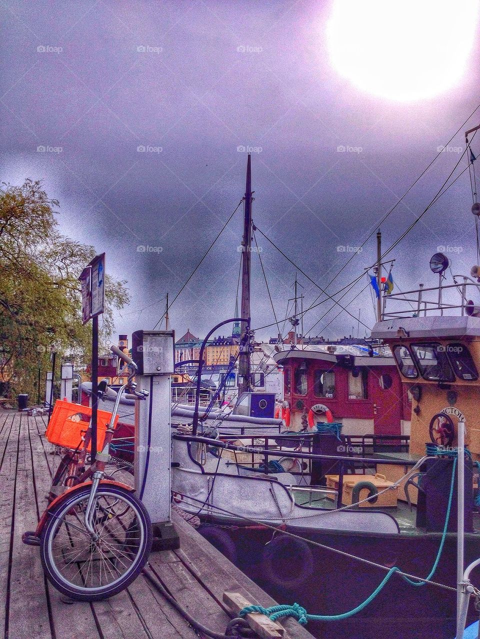 Bike at the dock