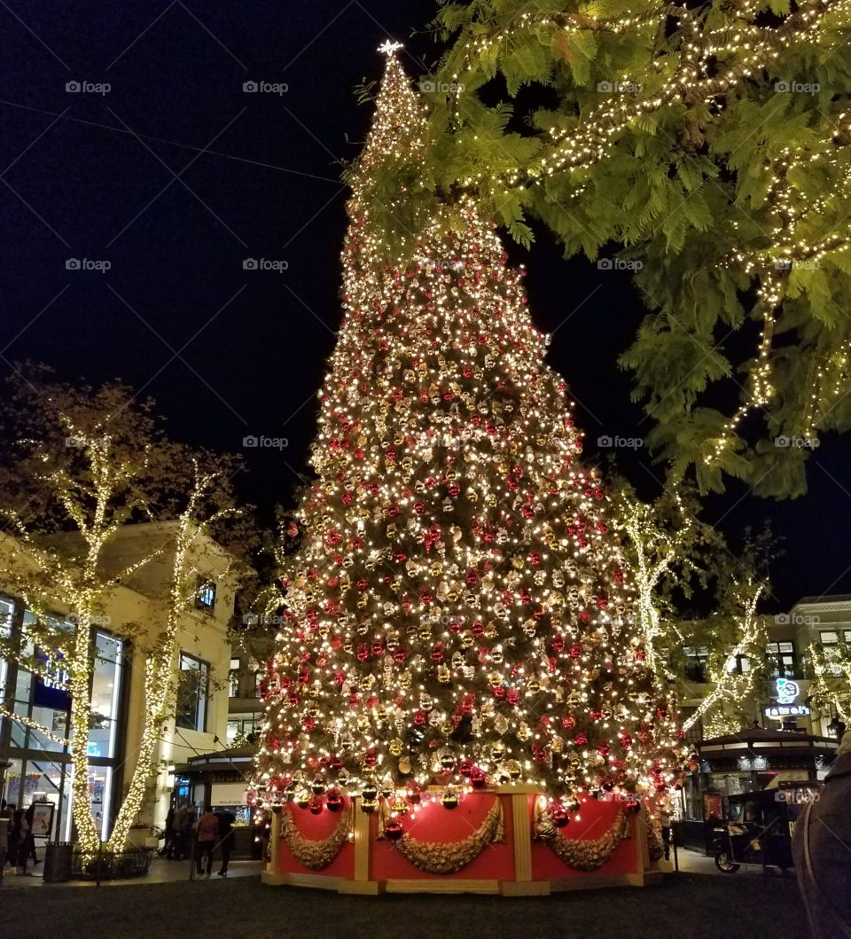 Christmas tree in Los Angeles
