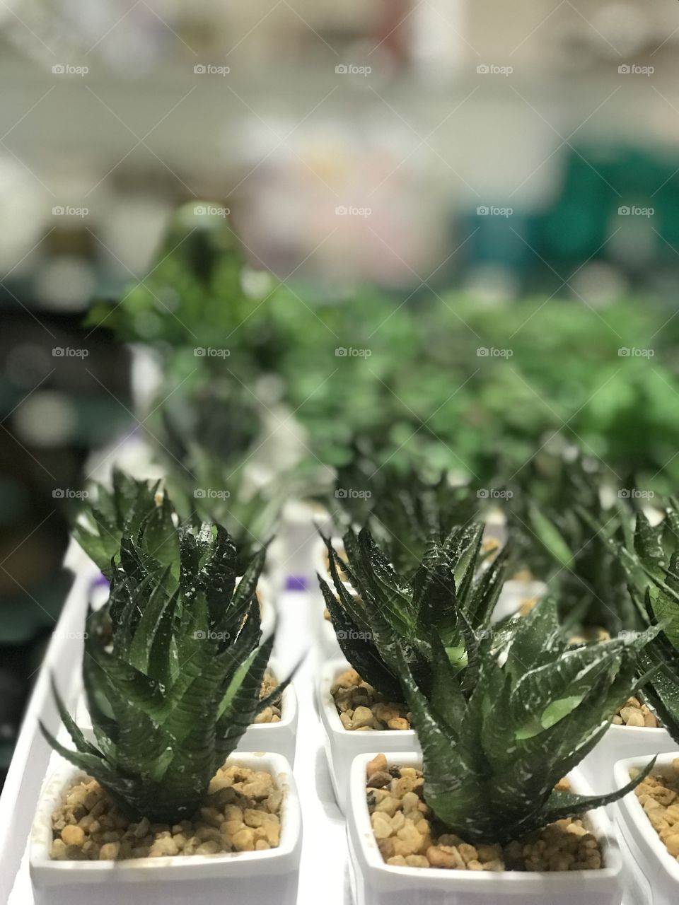 A beautiful day inside shopping extra in São Paulo-Brazil