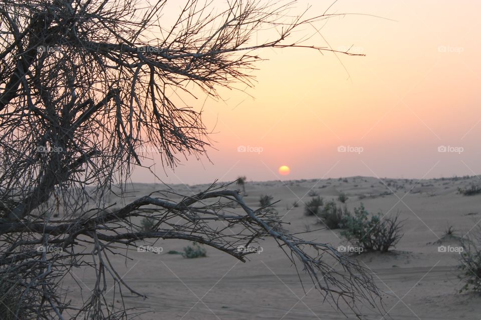 Dubai sunset desert