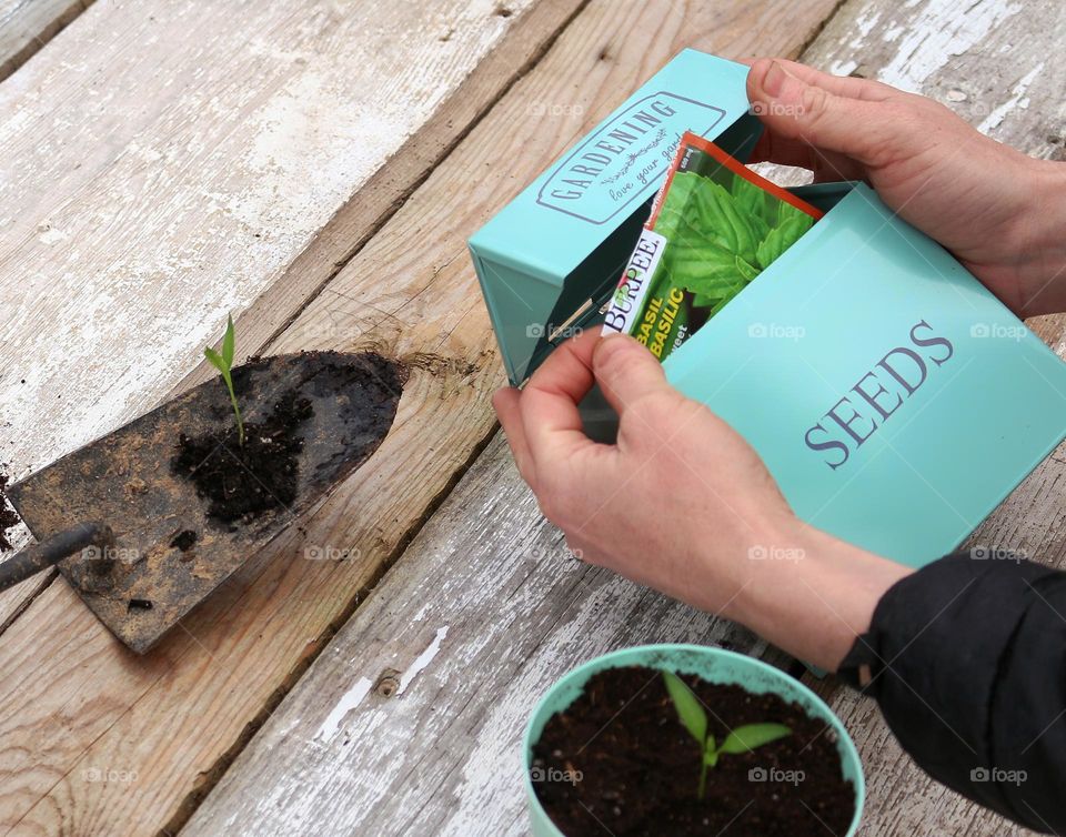 Grabbing seed packets from a seed box to start planting and transplanting seedlings.