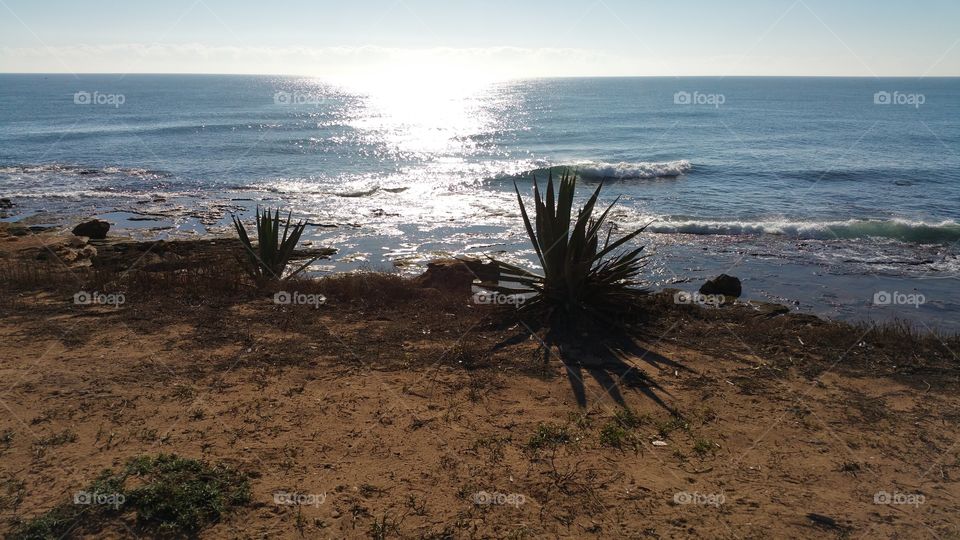 Arid Spanish coast with some pla