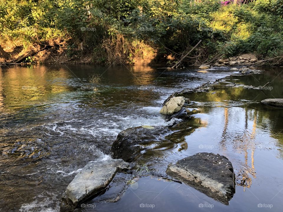 The stories of the nature, Countryside ( Saraburi)