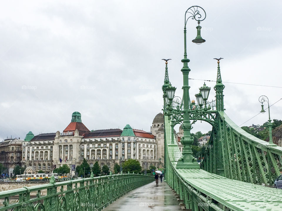 Liberty Bridge in Budapest. 